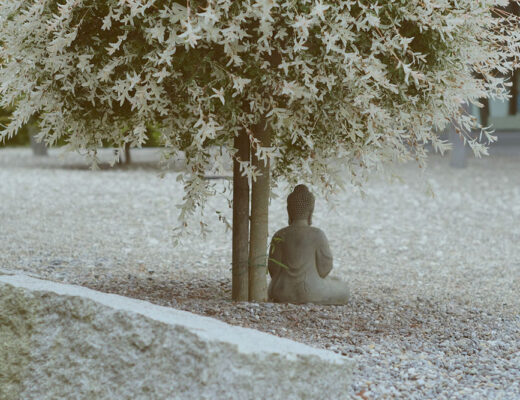 statua di buddha seduto posta sotto albero