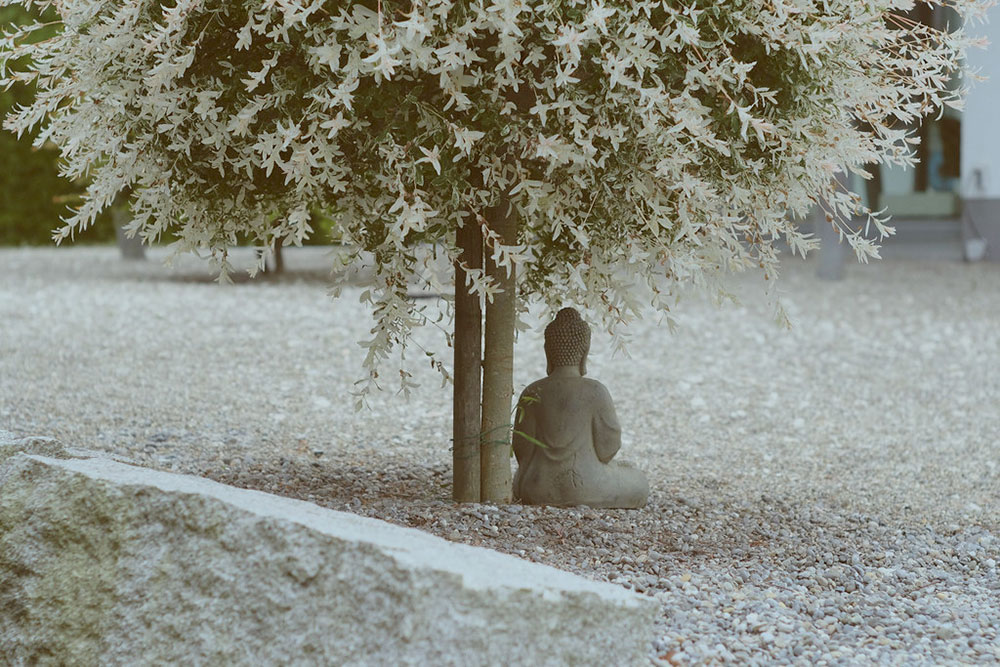 statua di buddha seduto posta sotto albero